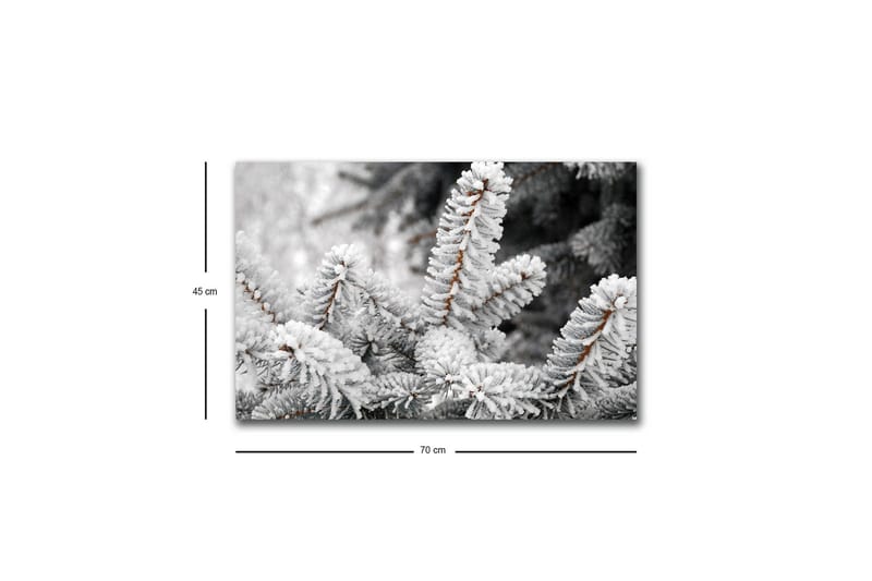 Canvastavla med LED-belysning - Frostiga granar i vinterlandskap - Vit / Grå / Brun - Inredning & dekor - Tavlor & konst - Canvastavla