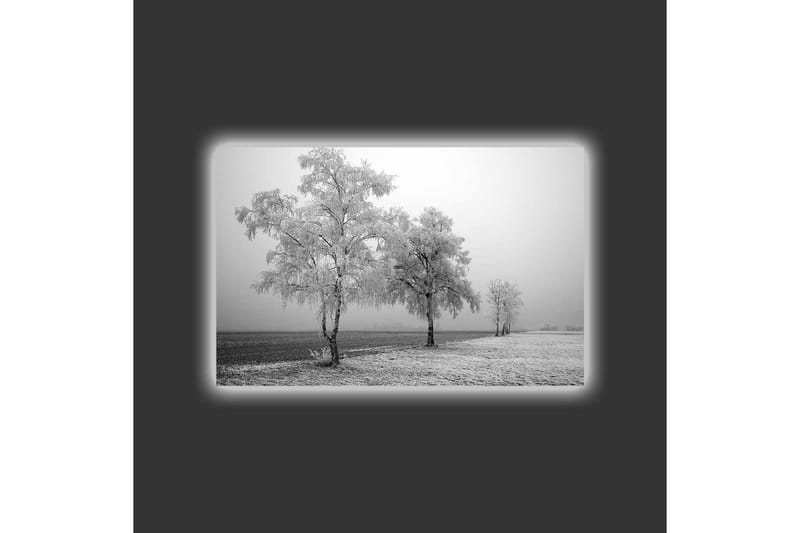 Canvastavla med LED-belysning - Frostiga träd i en vinterlandskap - Vitt / Grått - Inredning & dekor - Tavlor & konst - Canvastavla