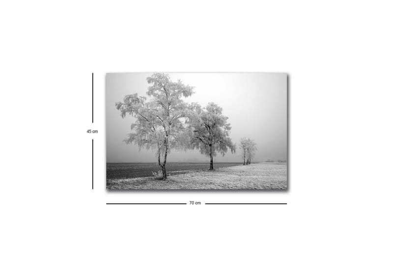 Canvastavla med LED-belysning - Frostiga träd i en vinterlandskap - Vitt / Grått - Inredning & dekor - Tavlor & konst - Canvastavla