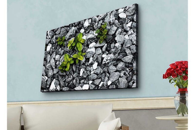Canvastavla med LED-belysning - Grå stenig yta med gröna växter som växer fram - Grå / Grön - Inredning & dekor - Tavlor & konst - Canvastavla