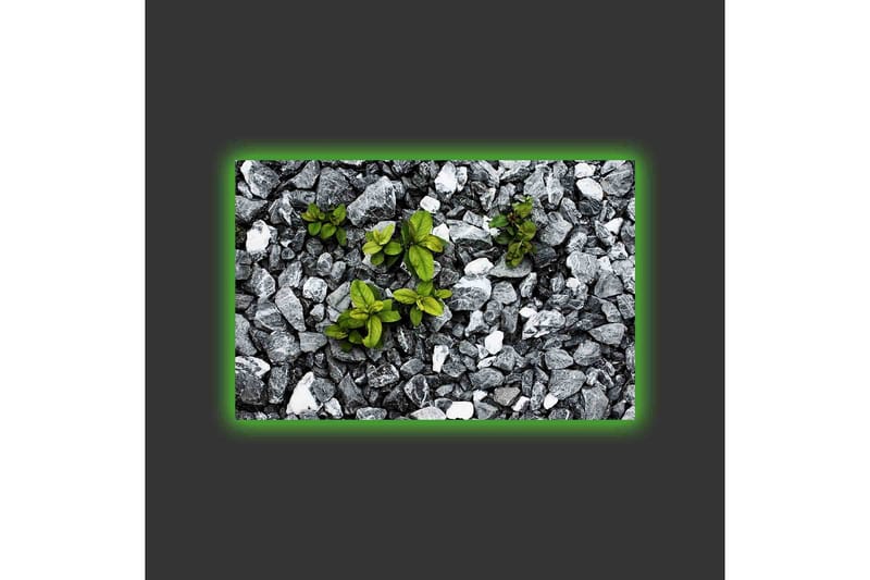 Canvastavla med LED-belysning - Grå stenig yta med gröna växter som växer fram - Grå / Grön - Inredning & dekor - Tavlor & konst - Canvastavla