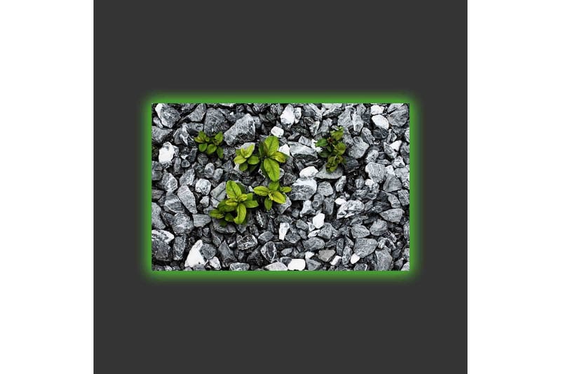 Canvastavla med LED-belysning - Grå stenig yta med gröna växter som växer fram - Grå / Grön - Inredning & dekor - Tavlor & konst - Canvastavla