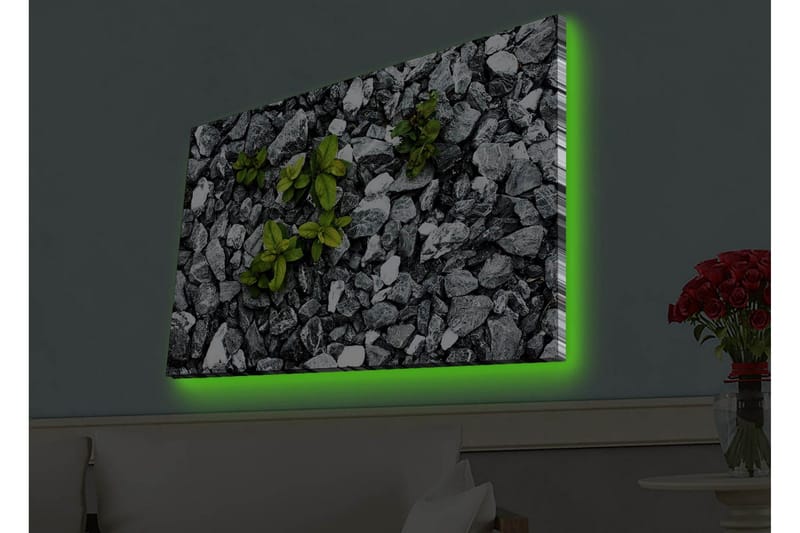 Canvastavla med LED-belysning - Grå stenig yta med gröna växter som växer fram - Grå / Grön - Inredning & dekor - Tavlor & konst - Canvastavla