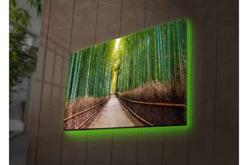 Canvastavla med LED-belysning - Grön bambuskog med en stig som leder genom träden - Grön / Brun - Inredning & dekor - Tavlor & konst - Canvastavla