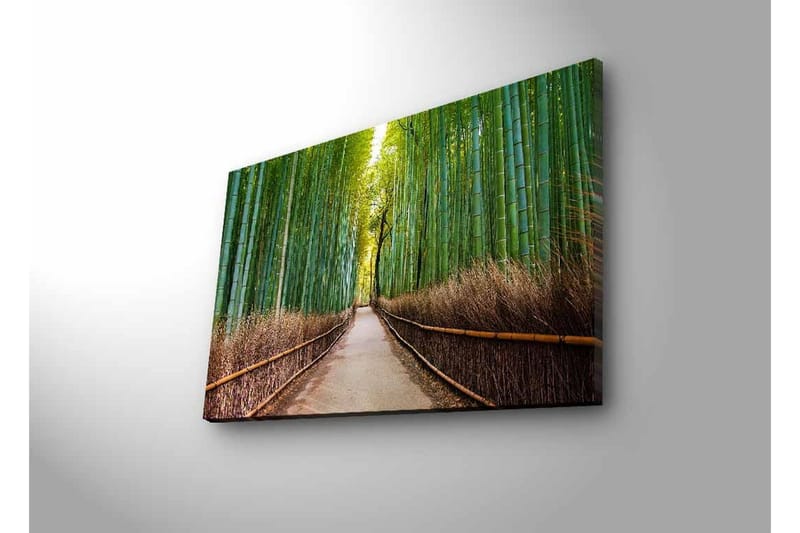 Canvastavla med LED-belysning - Grön bambuskog med en stig som leder genom träden - Grön / Brun - Inredning & dekor - Tavlor & konst - Canvastavla
