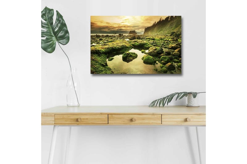 Canvastavla med LED-belysning - Grönskande kustlandskap med klippor och spegelblanka vattenpölar, Grön / Brun / Gul