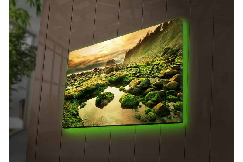 Canvastavla med LED-belysning - Grönskande kustlandskap med klippor och spegelblanka vattenpölar - Grön / Brun / Gul - Inredning & dekor - Tavlor & konst - Canvastavla