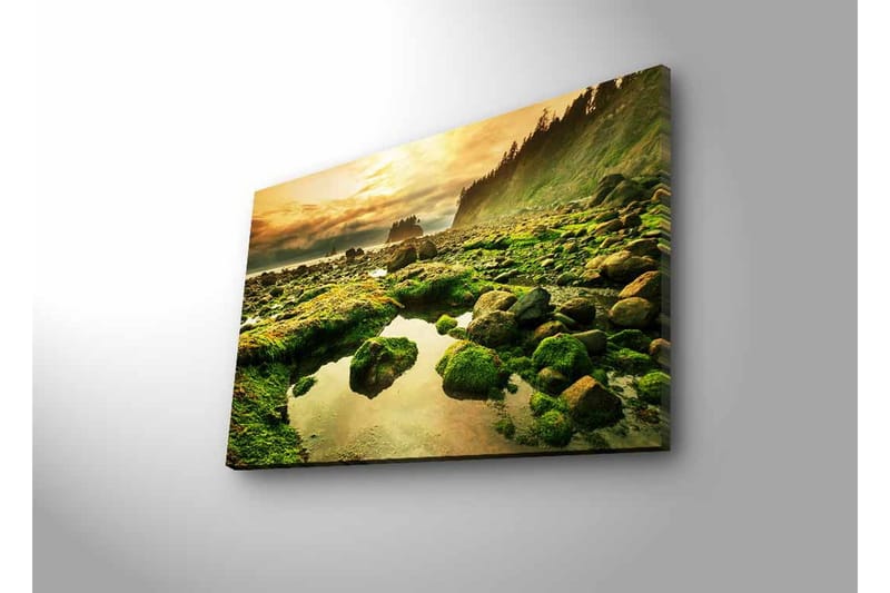 Canvastavla med LED-belysning - Grönskande kustlandskap med klippor och spegelblanka vattenpölar - Grön / Brun / Gul - Inredning & dekor - Tavlor & konst - Canvastavla