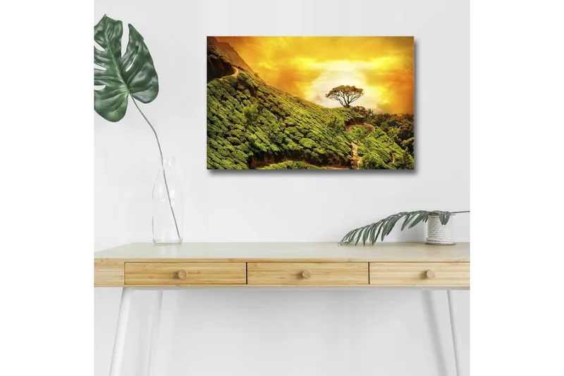 Canvastavla med LED-belysning - Grönskande landskap med en ensam trädkrona mot en gyllene himmel, Grön / Guld / Brun