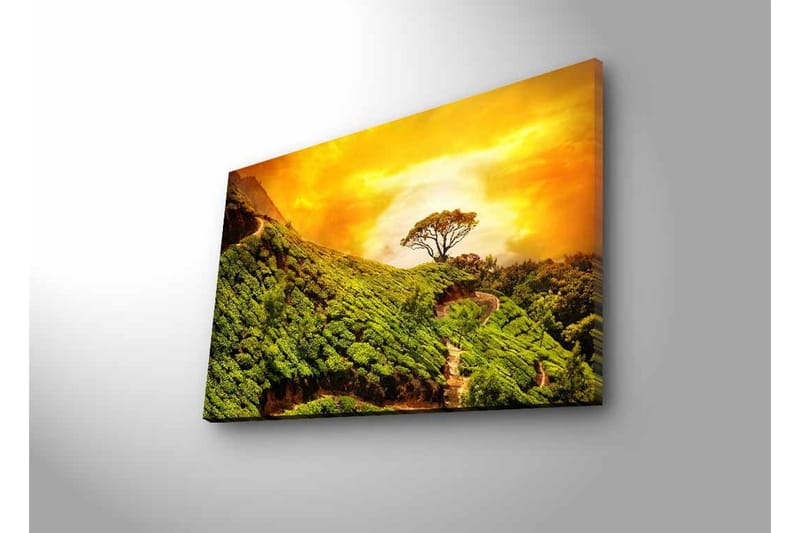 Canvastavla med LED-belysning - Grönskande landskap med en ensam trädkrona mot en gyllene himmel - Grön / Guld / Brun - Inredning & dekor - Tavlor & konst - Canvastavla