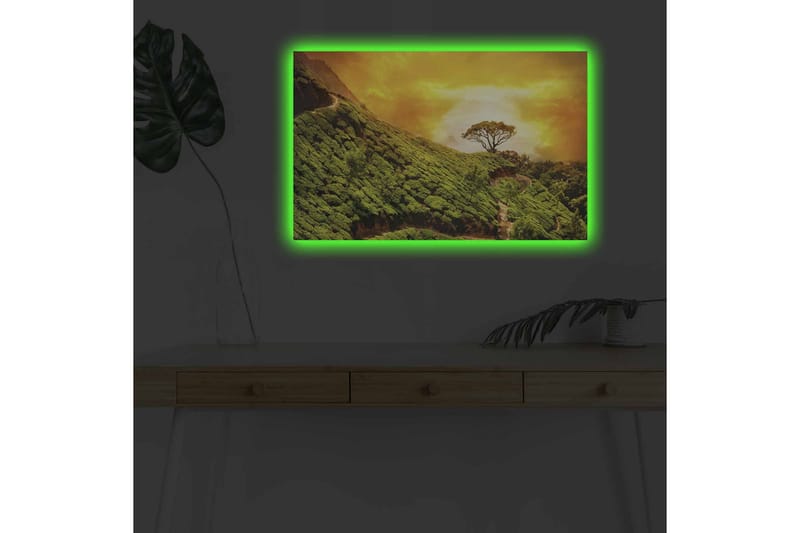Canvastavla med LED-belysning - Grönskande landskap med en ensam trädkrona mot en gyllene himmel - Grön / Guld / Brun - Inredning & dekor - Tavlor & konst - Canvastavla
