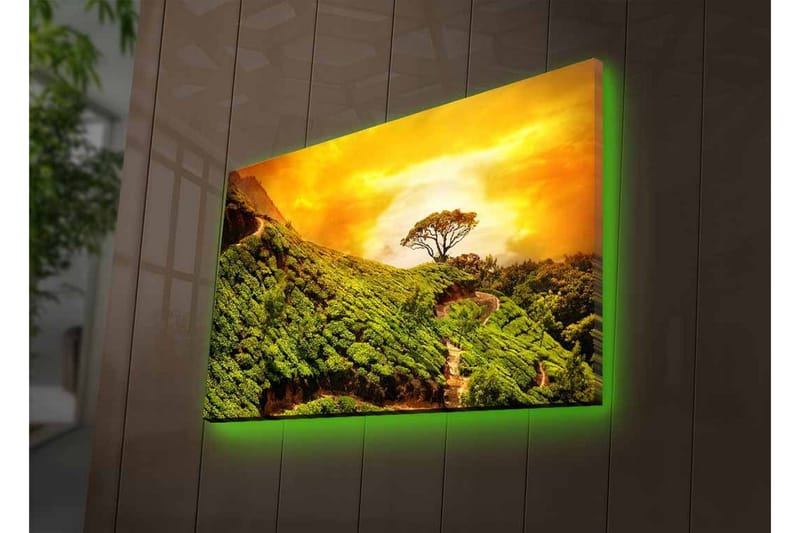 Canvastavla med LED-belysning - Grönskande landskap med en ensam trädkrona mot en gyllene himmel - Grön / Guld / Brun - Inredning & dekor - Tavlor & konst - Canvastavla