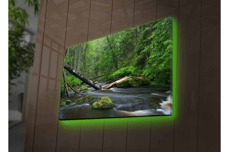 Canvastavla med LED-belysning - Grönskande skog med en porlande bäck - Grön / Brun / Svart - Inredning & dekor - Tavlor & konst - Canvastavla