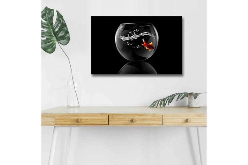 Canvastavla med LED-belysning - Guld fisk simmande i en glasbehållare med vattenstänk - Svart / Röd / Transparent - Inredning & dekor - Tavlor & konst - Canvastavla