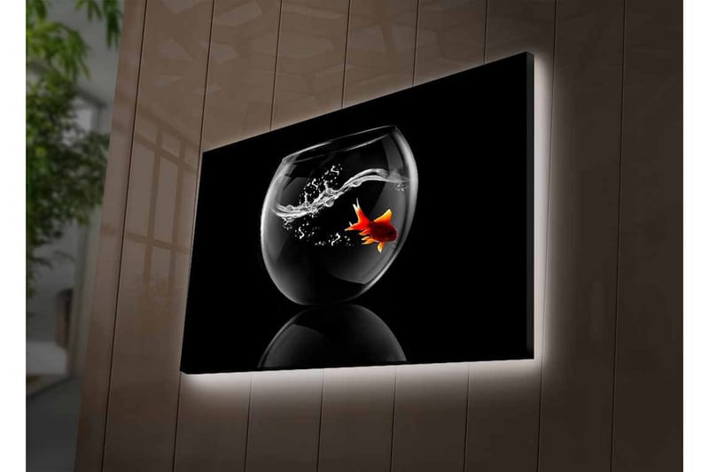 Canvastavla med LED-belysning - Guld fisk simmande i en glasbehållare med vattenstänk - Svart / Röd / Transparent - Inredning & dekor - Tavlor & konst - Canvastavla