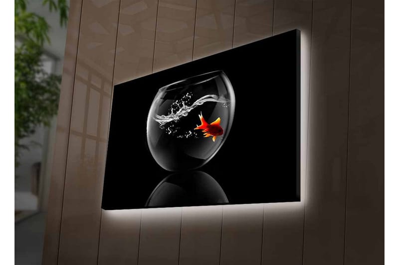 Canvastavla med LED-belysning - Guld fisk simmande i en glasbehållare med vattenstänk - Svart / Röd / Transparent - Inredning & dekor - Tavlor & konst - Canvastavla
