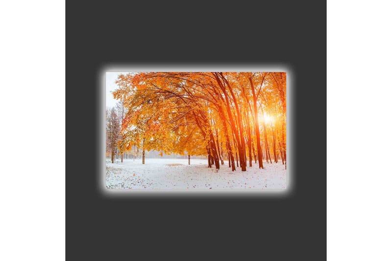 Canvastavla med LED-belysning - Gyllene höstskog med solstrålar som strålar genom träden - Orange / Guld / Vit - Inredning & dekor - Tavlor & konst - Canvastavla