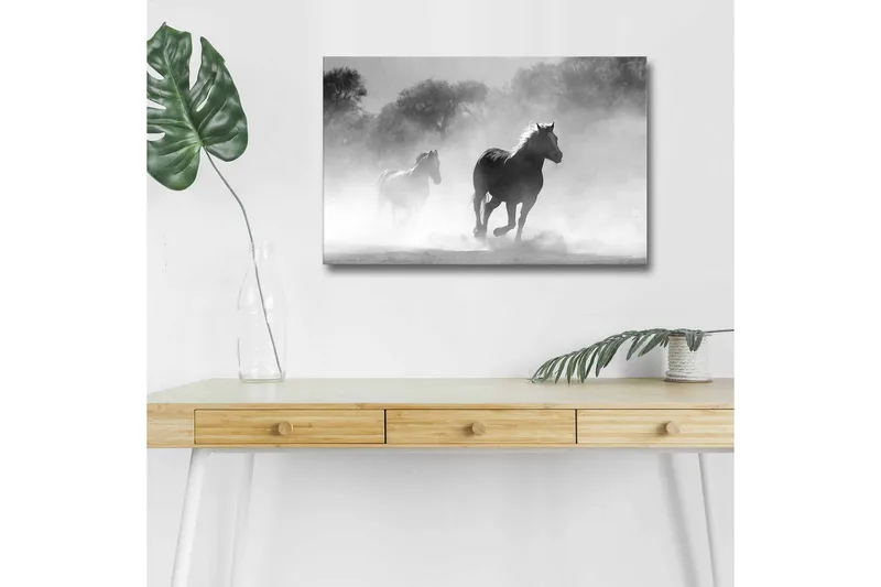 Canvastavla med LED-belysning - Hästar som galopperar genom dimma, Svart / Vitt / Grått