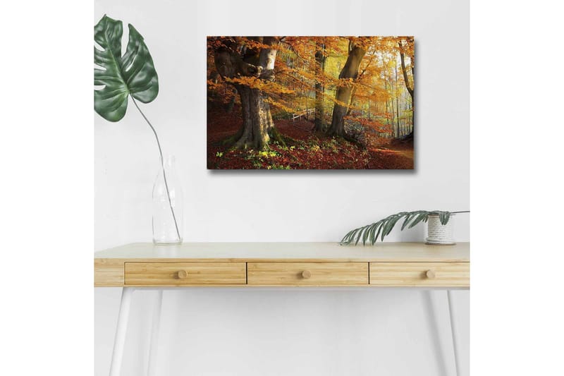 Canvastavla med LED-belysning - Höstlandskap med färgglada träd och löv - Orange / Brun / Grön - Inredning & dekor - Tavlor & konst - Canvastavla