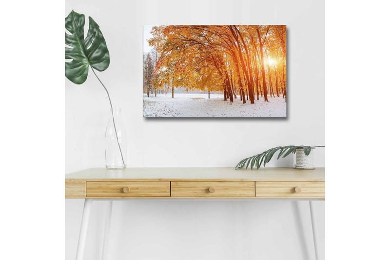 Canvastavla med LED-belysning - Höstlandskap med gyllene träd i snöig miljö - Guld / Vit / Brun - Inredning & dekor - Tavlor & konst - Canvastavla