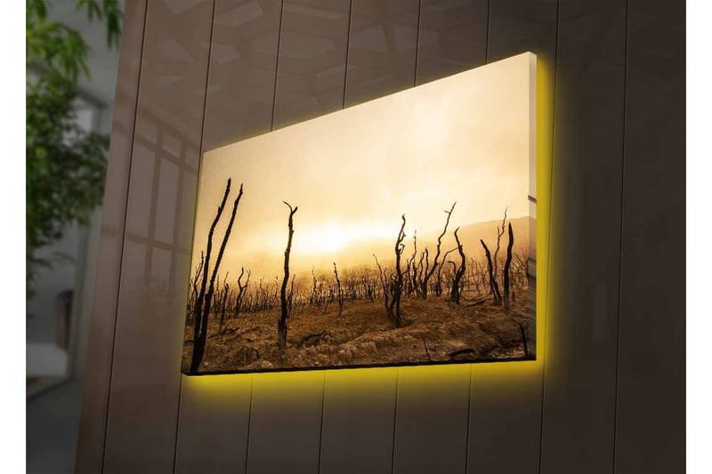 Canvastavla med LED-belysning - Karg landskap med döda trädstammar - Mörkbrun / Beige / Grå - Inredning & dekor - Tavlor & konst - Canvastavla