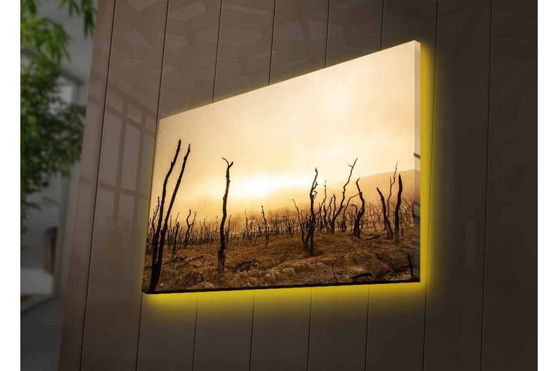 Canvastavla med LED-belysning - Karg landskap med döda trädstammar - Mörkbrun / Beige / Grå - Inredning & dekor - Tavlor & konst - Canvastavla