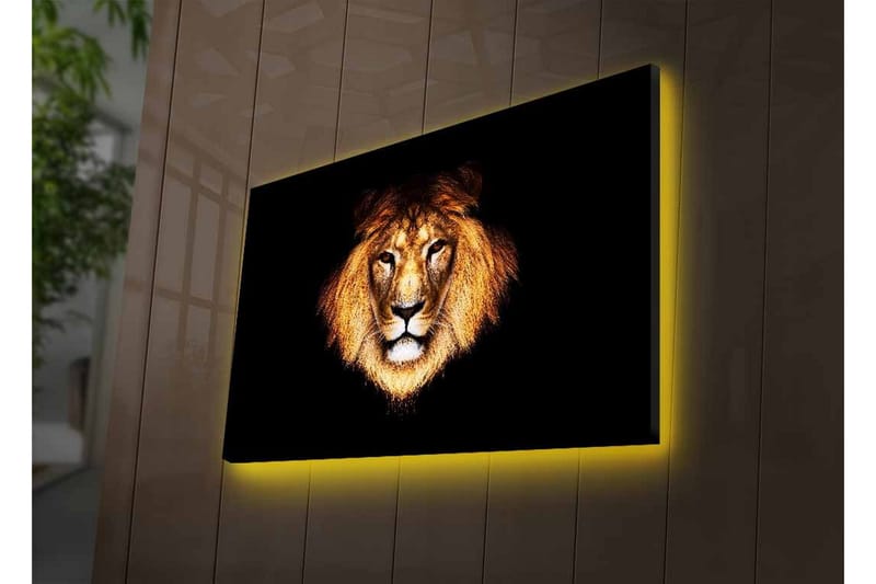 Canvastavla med LED-belysning - Lejonhuvud med intensiv blick - Guld / Svart / Brun - Inredning & dekor - Tavlor & konst - Canvastavla
