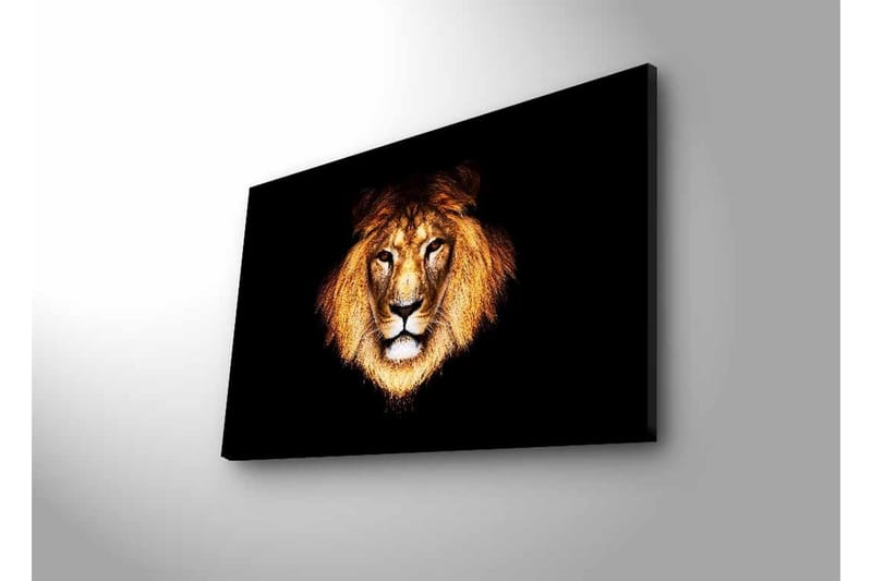 Canvastavla med LED-belysning - Lejonhuvud med intensiv blick - Guld / Svart / Brun - Inredning & dekor - Tavlor & konst - Canvastavla