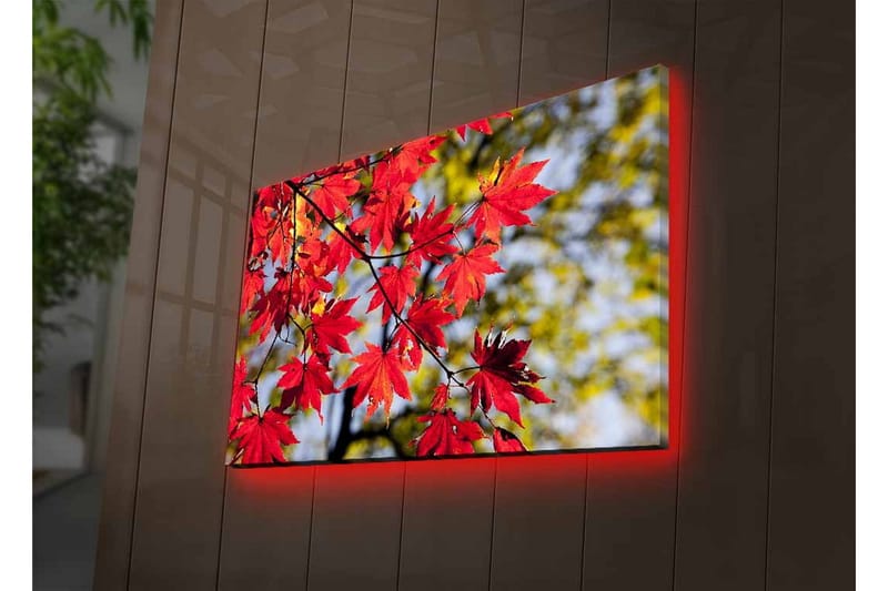 Canvastavla med LED-belysning - Ljust röda lönnlöv som hänger från en gren - Röd / Grön - Inredning & dekor - Tavlor & konst - Canvastavla