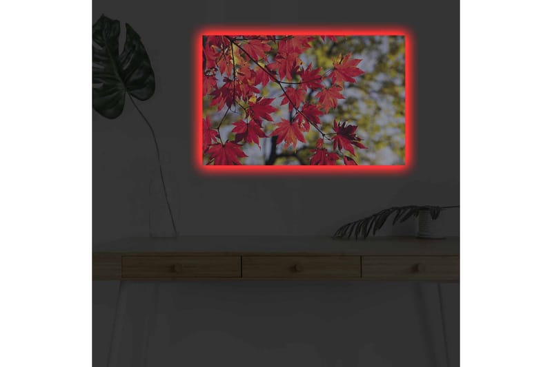 Canvastavla med LED-belysning - Ljust röda lönnlöv som hänger från en gren - Röd / Grön - Inredning & dekor - Tavlor & konst - Canvastavla
