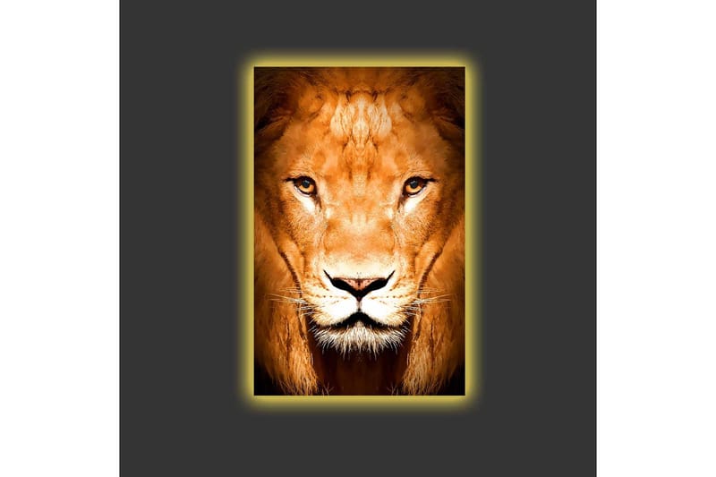 Canvastavla med LED-belysning - Majestätisk lejonhuvud i närbild - Guld / Brun / Svart - Inredning & dekor - Tavlor & konst - Canvastavla