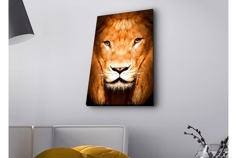 Canvastavla med LED-belysning - Majestätisk lejonhuvud i närbild - Guld / Brun / Svart - Inredning & dekor - Tavlor & konst - Canvastavla