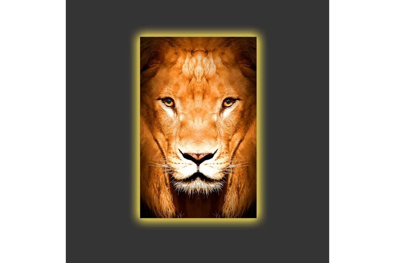 Canvastavla med LED-belysning - Majestätisk lejonhuvud i närbild - Guld / Brun / Svart - Inredning & dekor - Tavlor & konst - Canvastavla