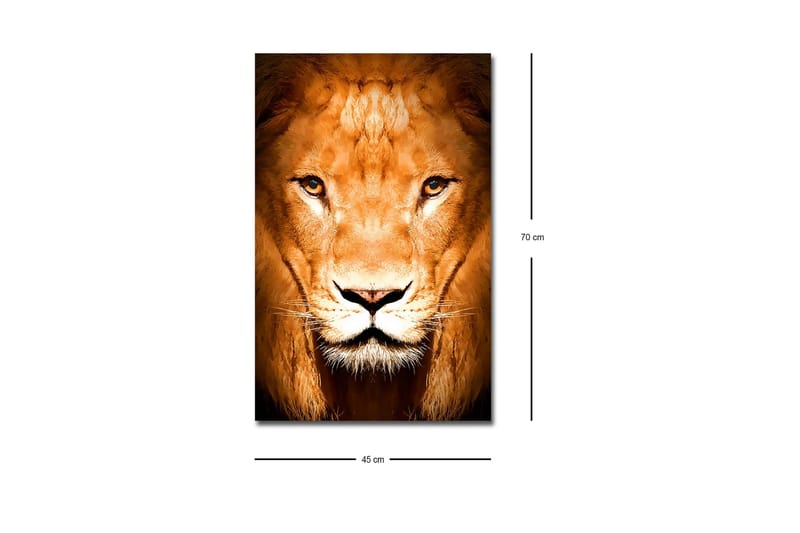 Canvastavla med LED-belysning - Majestätisk lejonhuvud i närbild - Guld / Brun / Svart - Inredning & dekor - Tavlor & konst - Canvastavla