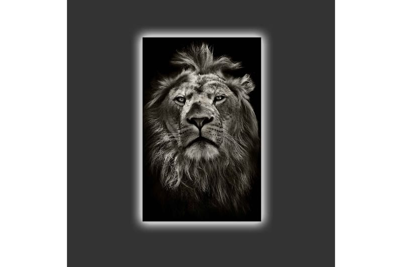 Canvastavla med LED-belysning - Majestätisk lejonhuvud i svartvitt - Svart / Grå - Inredning & dekor - Tavlor & konst - Canvastavla