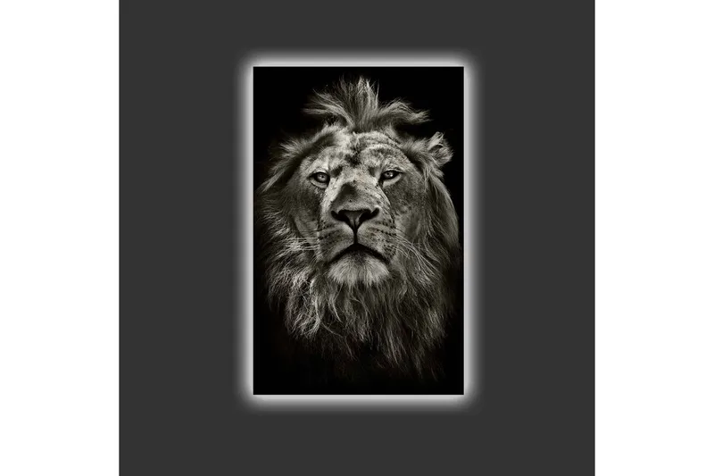 Canvastavla med LED-belysning - Majestätisk lejonhuvud i svartvitt - Svart / Grå - Inredning & dekor - Tavlor & konst - Canvastavla
