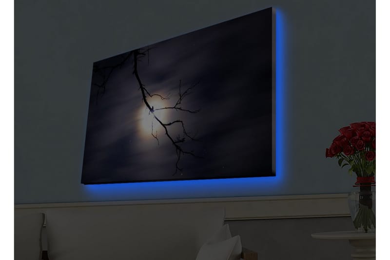 Canvastavla med LED-belysning - Måne som lyser genom mörka moln med en gren i förgrunden - Mörkblå / Svart / Vit - Inredning & dekor - Tavlor & konst - Canvastavla
