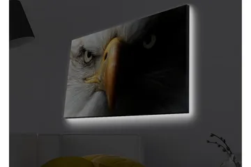Canvastavla med LED-belysning - Närbild av en majestätisk örn med intensiva ögon - Vit / Svart / Orange - Inredning & dekor - Tavlor & konst - Canvastavla