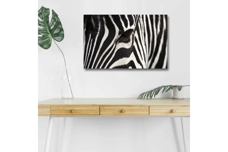Canvastavla med LED-belysning - Närbild av en zebras ansikte med tydliga svarta och vita ränder, Svart / Vit