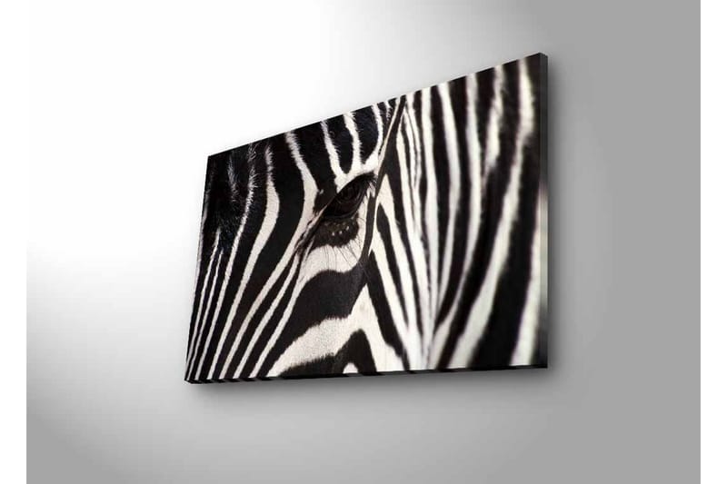 Canvastavla med LED-belysning - Närbild av en zebras ansikte med tydliga svarta och vita ränder - Svart / Vit - Inredning & dekor - Tavlor & konst - Canvastavla