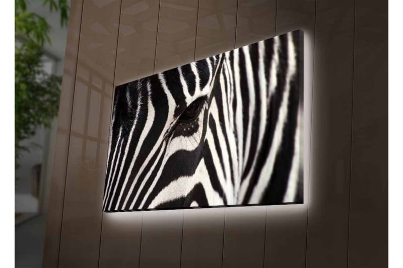 Canvastavla med LED-belysning - Närbild av en zebras ansikte med tydliga svarta och vita ränder - Svart / Vit - Inredning & dekor - Tavlor & konst - Canvastavla