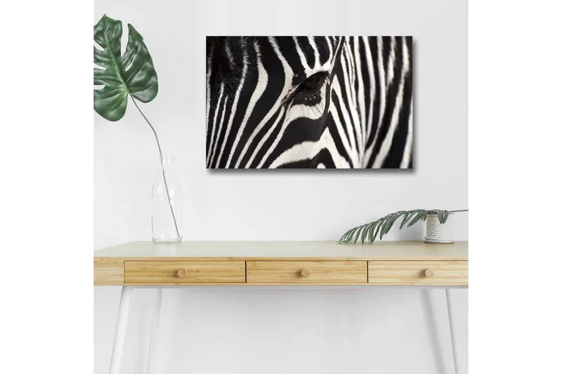 Canvastavla med LED-belysning - Närbild av en zebras ansikte med tydliga svarta och vita ränder, Svart / Vit
