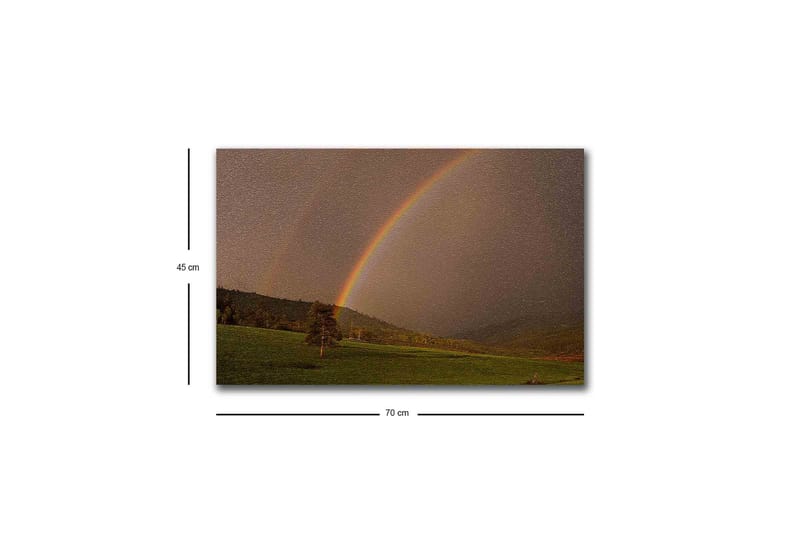 Canvastavla med LED-belysning - Regnbåge som sträcker sig över en grön dalg ång - Grön / Brun / Gul - Inredning & dekor - Tavlor & konst - Canvastavla
