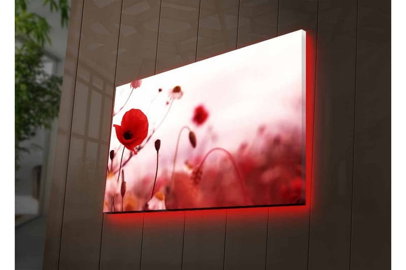 Canvastavla med LED-belysning - Röd vallmo i en mjukt suddig blomsteräng - Röd / Rosa / Grön - Inredning & dekor - Tavlor & konst - Canvastavla