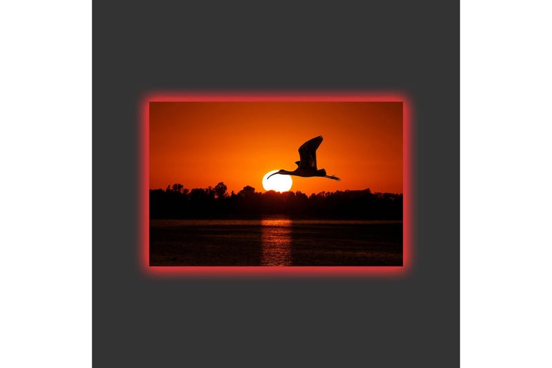 Canvastavla med LED-belysning - Silhuett av en fågel som flyger mot en solnedgång - Orange / Svart - Inredning & dekor - Tavlor & konst - Canvastavla