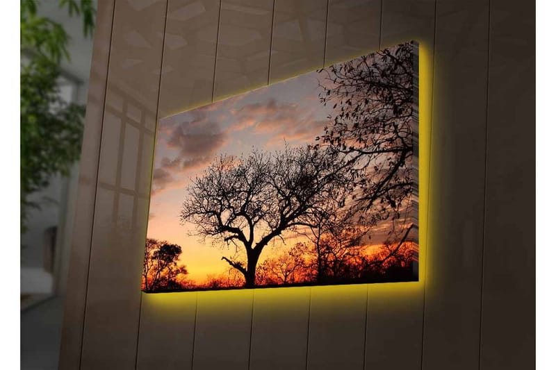 Canvastavla med LED-belysning - Silhuett av ett träd mot en färgsprakande solnedgång - Mörkbrun / Orange / Gul - Inredning & dekor - Tavlor & konst - Canvastavla