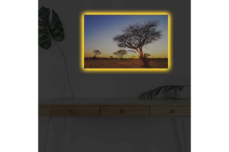 Canvastavla med LED-belysning - Silhuetter av träd mot en solnedgång i savannen - Guld / Blå / Svart - Inredning & dekor - Tavlor & konst - Canvastavla