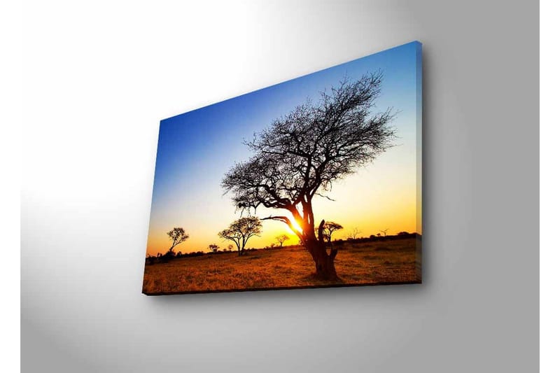 Canvastavla med LED-belysning - Silhuetter av träd mot en solnedgång i savannen - Guld / Blå / Svart - Inredning & dekor - Tavlor & konst - Canvastavla
