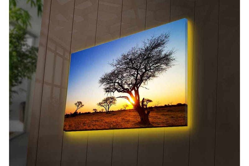 Canvastavla med LED-belysning - Silhuetter av träd mot en solnedgång i savannen - Guld / Blå / Svart - Inredning & dekor - Tavlor & konst - Canvastavla