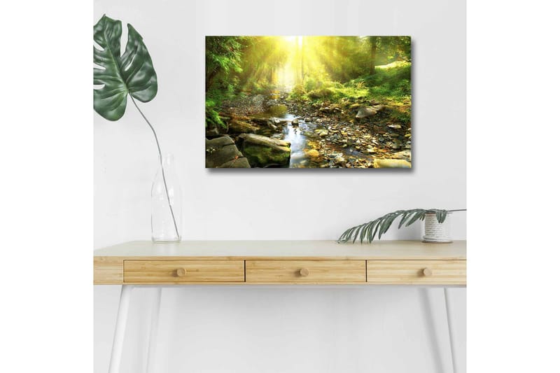 Canvastavla med LED-belysning - Solbelyst skog med en porlande bäck, Grön / Gul / Brun